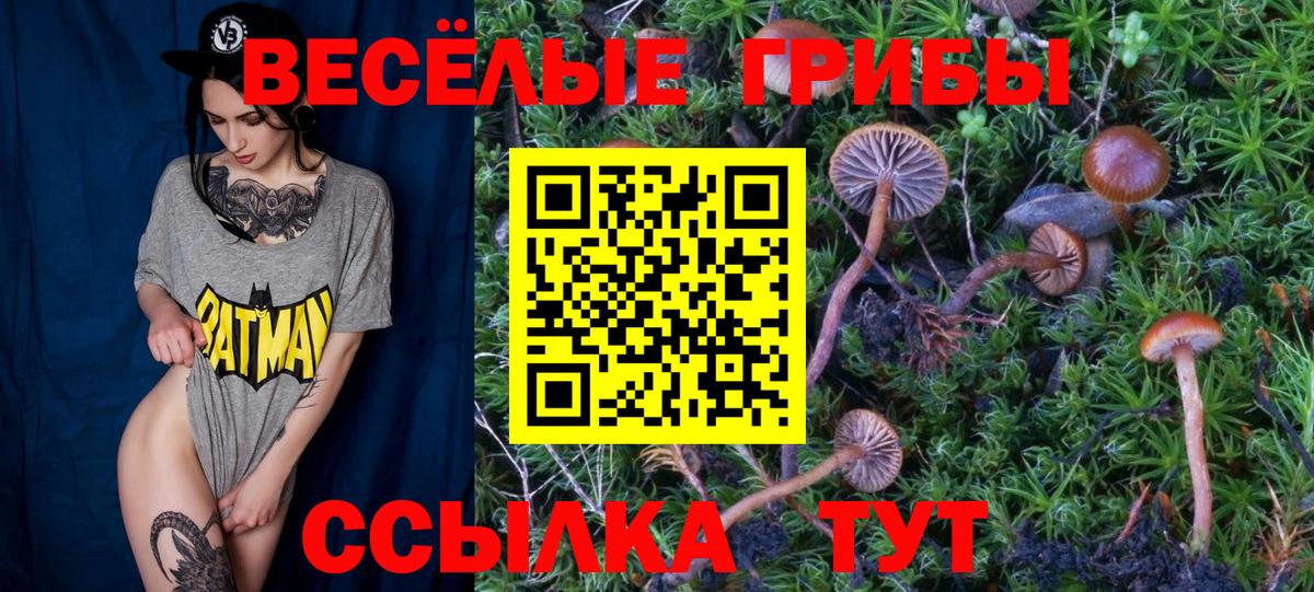 что такое наркотик  Вход с VPN  Шадринск  Галлюциногенные грибы ЛСД 